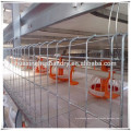 Poultry farming equipment baby chicken brooder/chicken cage for sale